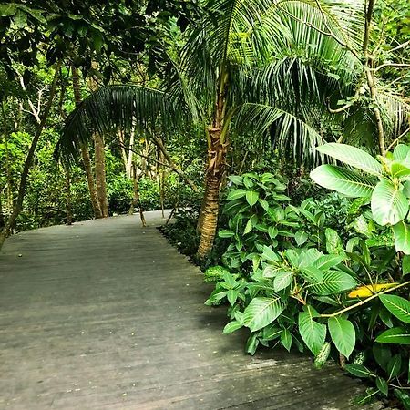 Rayshiva Homestay Убуд Экстерьер фото